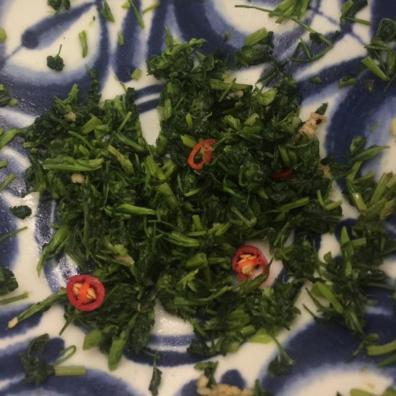 凉拌苜蓿