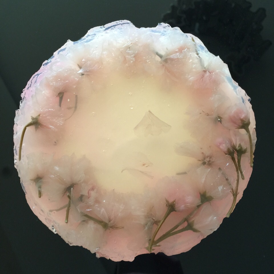 樱花渐变慕斯蛋糕（6寸）