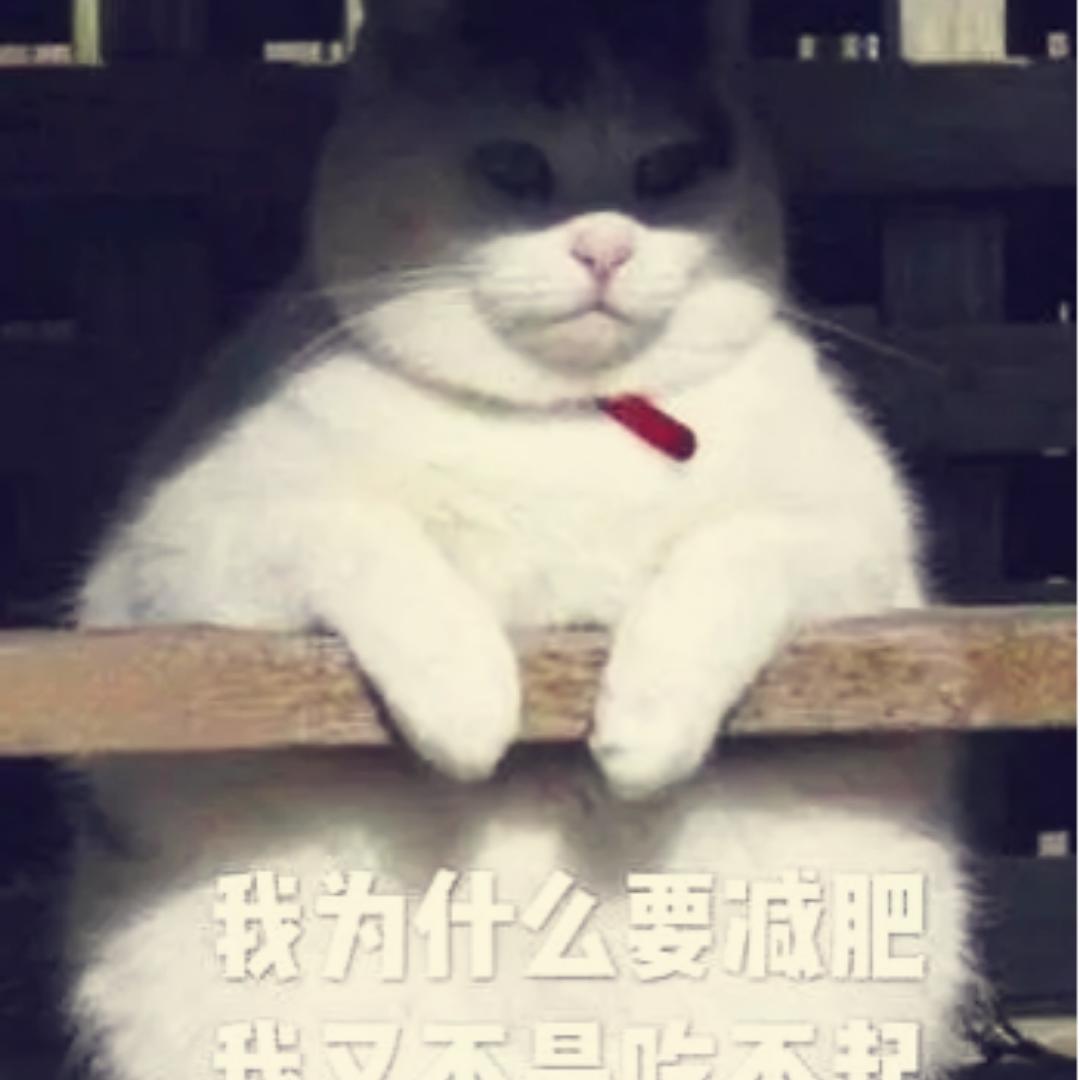 插柳成荫