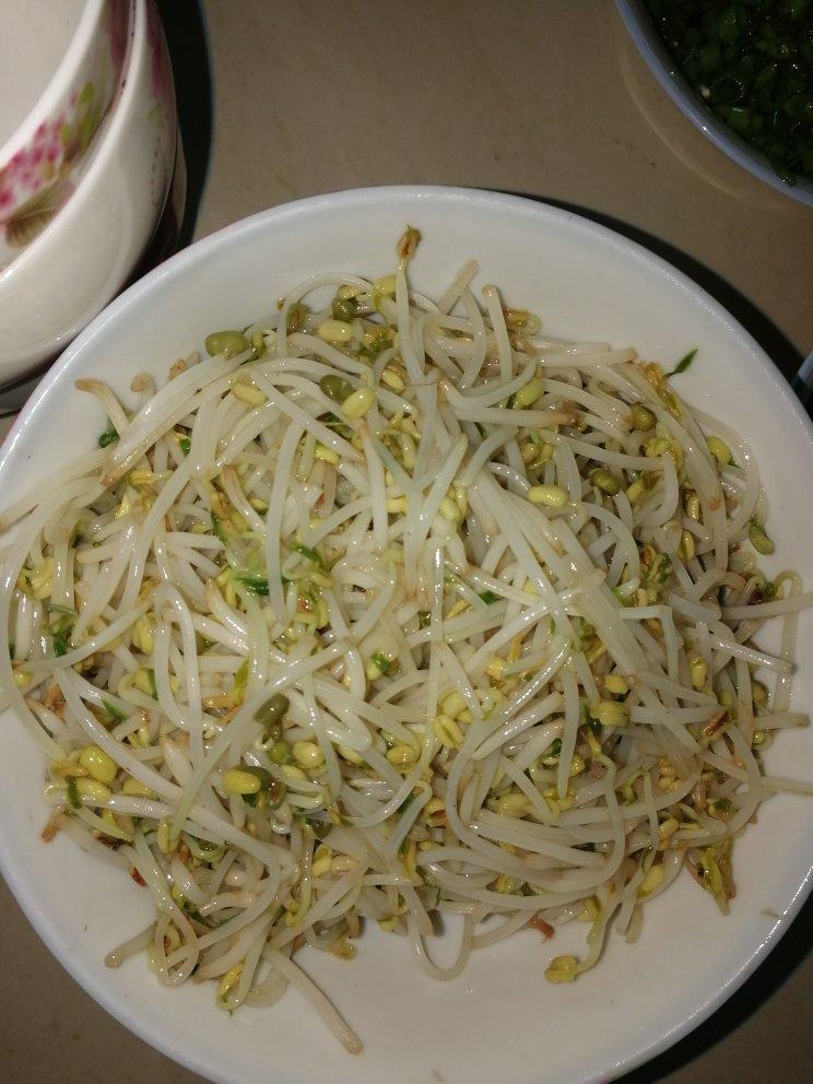 自发绿豆芽/自生豆芽/自制豆芽