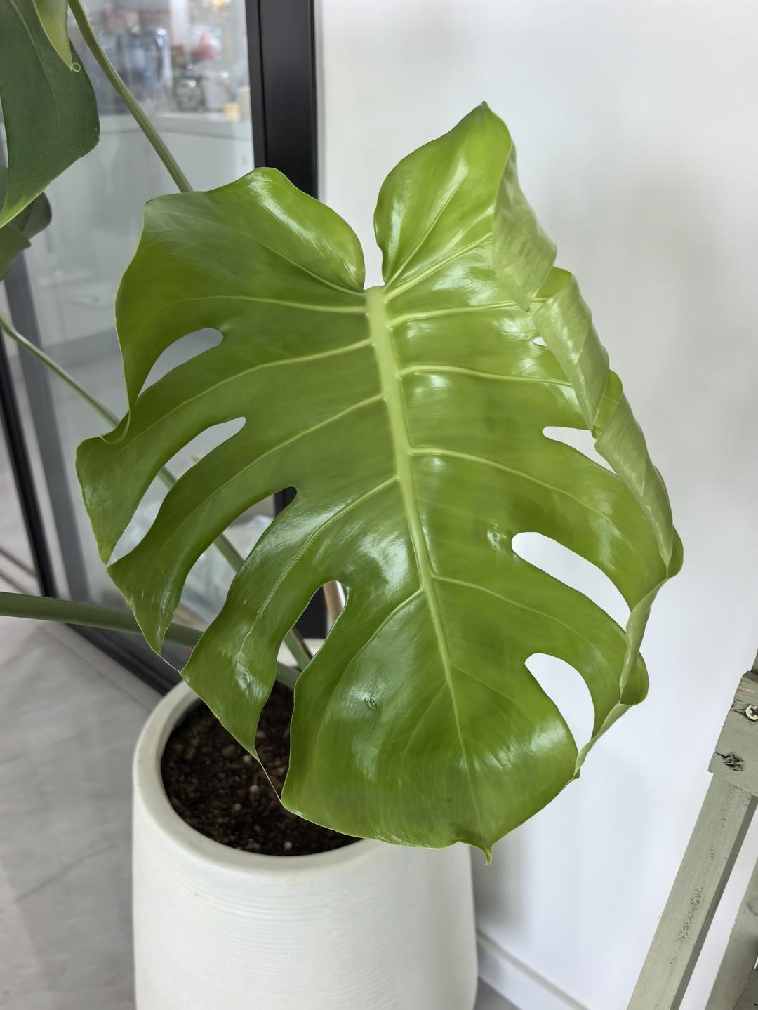 下午茶•2026年3月5日