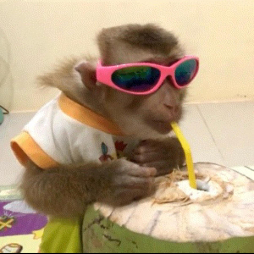 快乐公主小申殿下