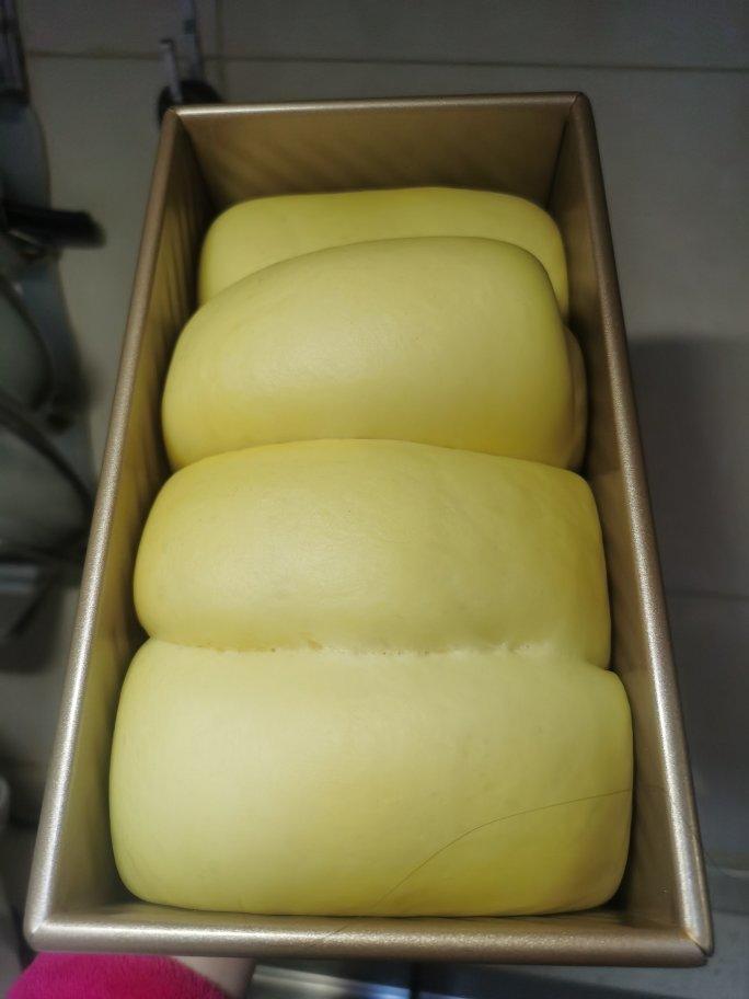 🌟只需一发的软妹子🌟奶香吐司🍞