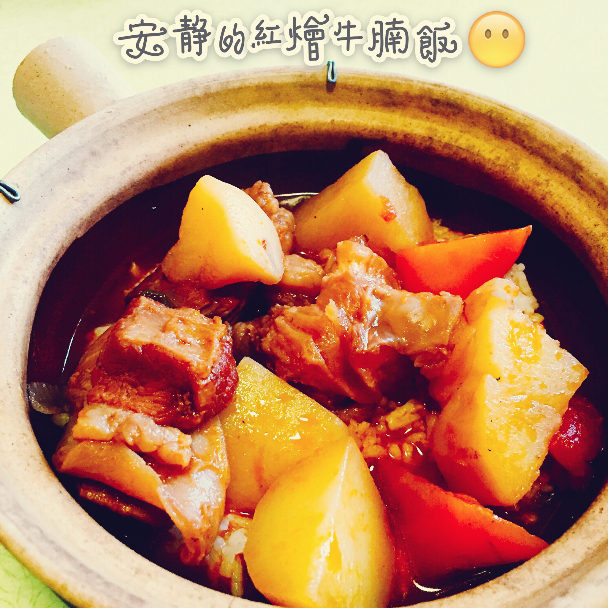 一个话唠包教包会的香浓红烩牛腩