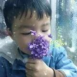梁小焙