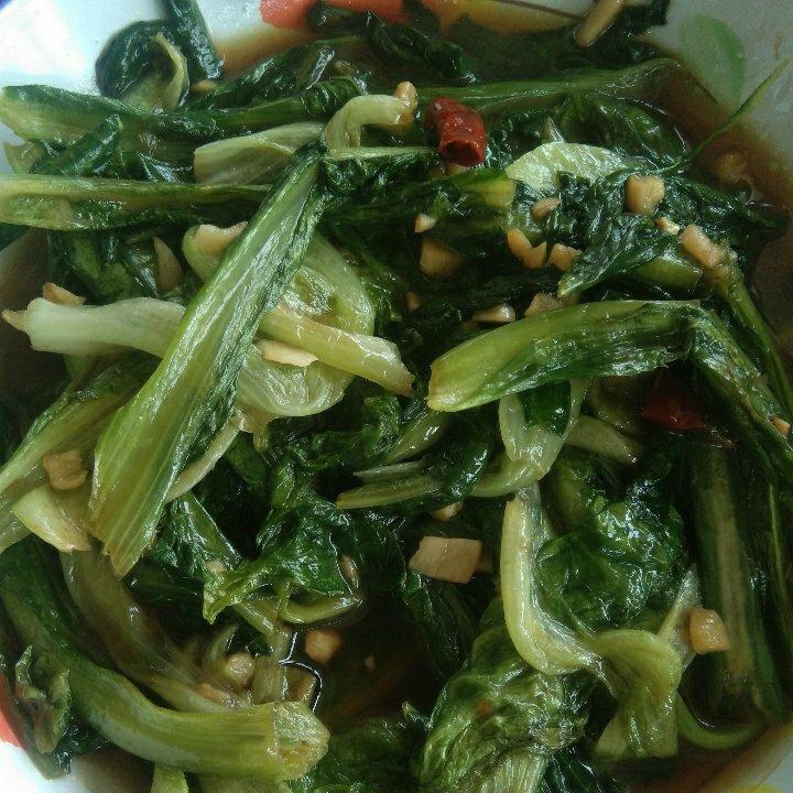 蒜蓉油麦菜（蚝油）