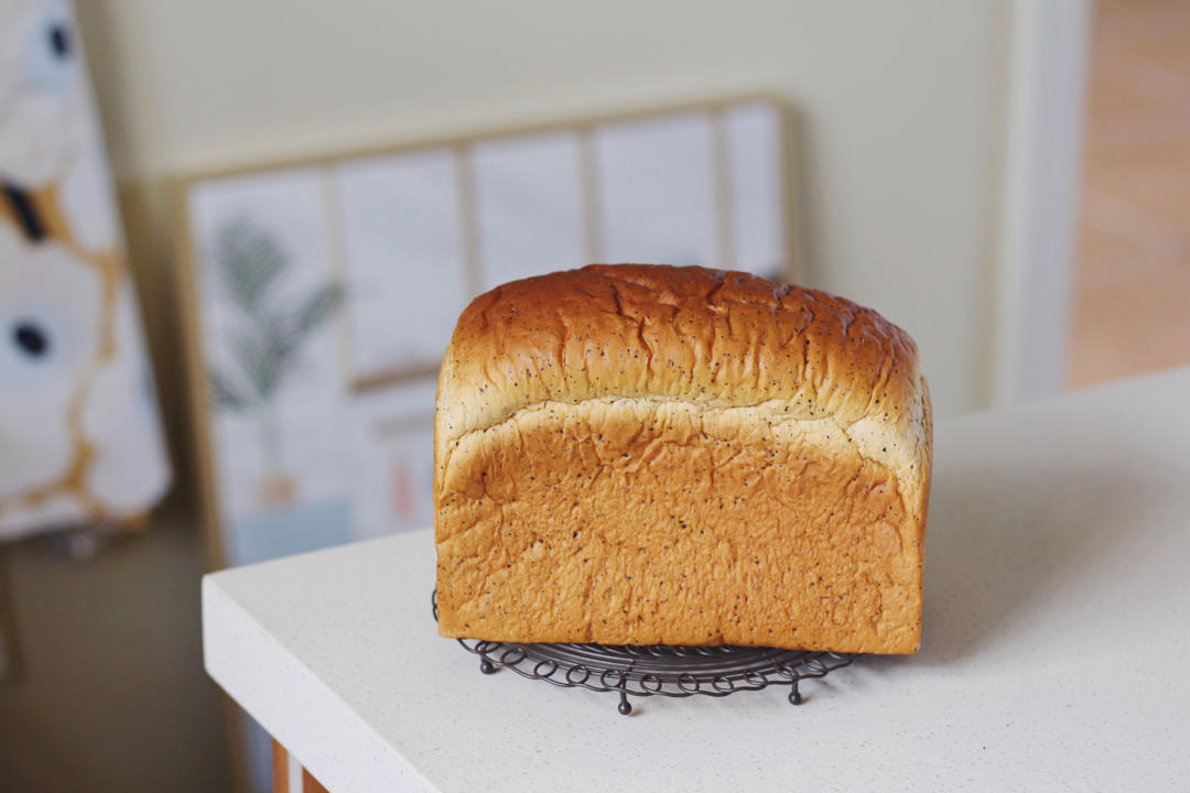 好女子温良恭俭让