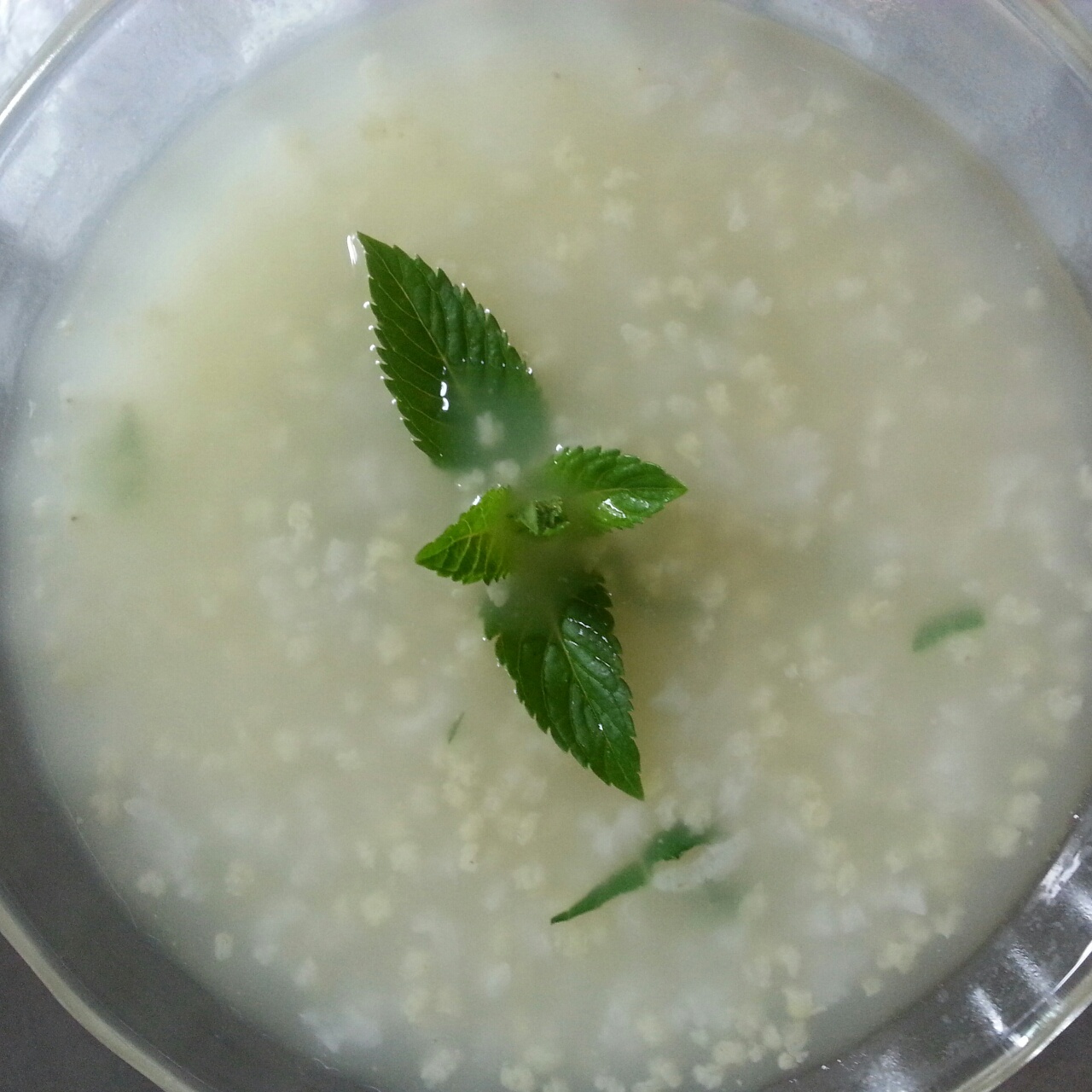 琪琪宝贝卡哇伊做的薄荷粥