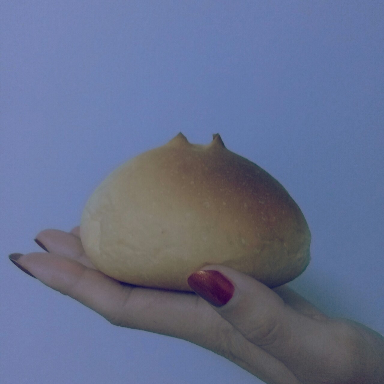 全麦牛奶面包