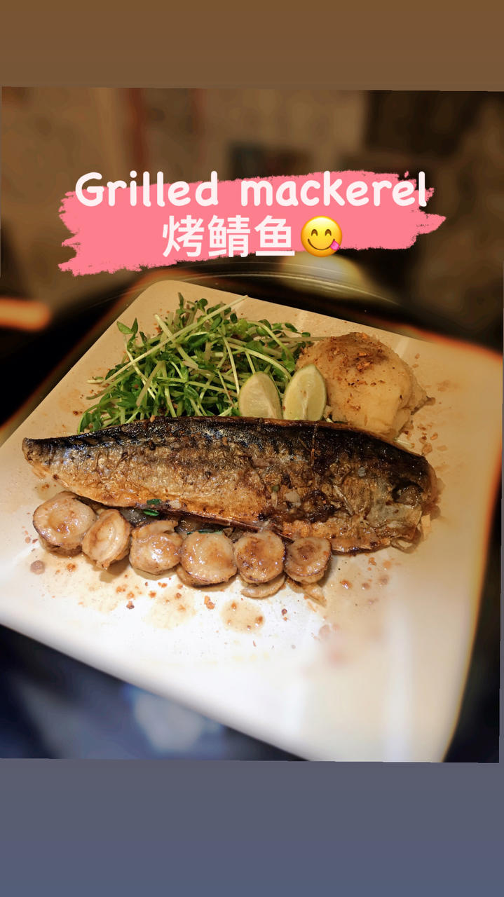 快手又下饭的简易照烧鲭鱼（青花鱼）