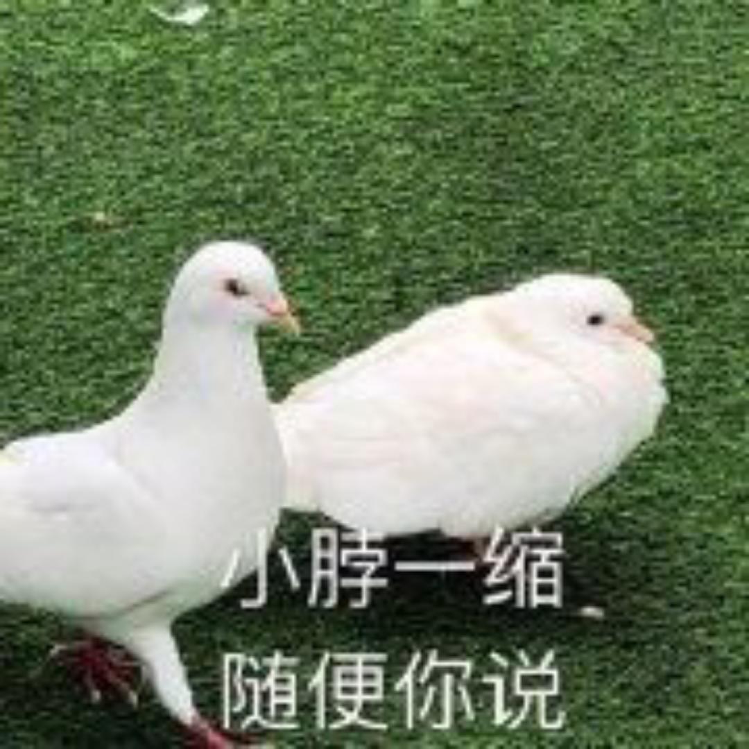 云水静沐