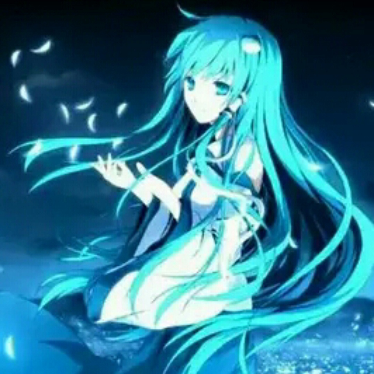 依兰紫轩
