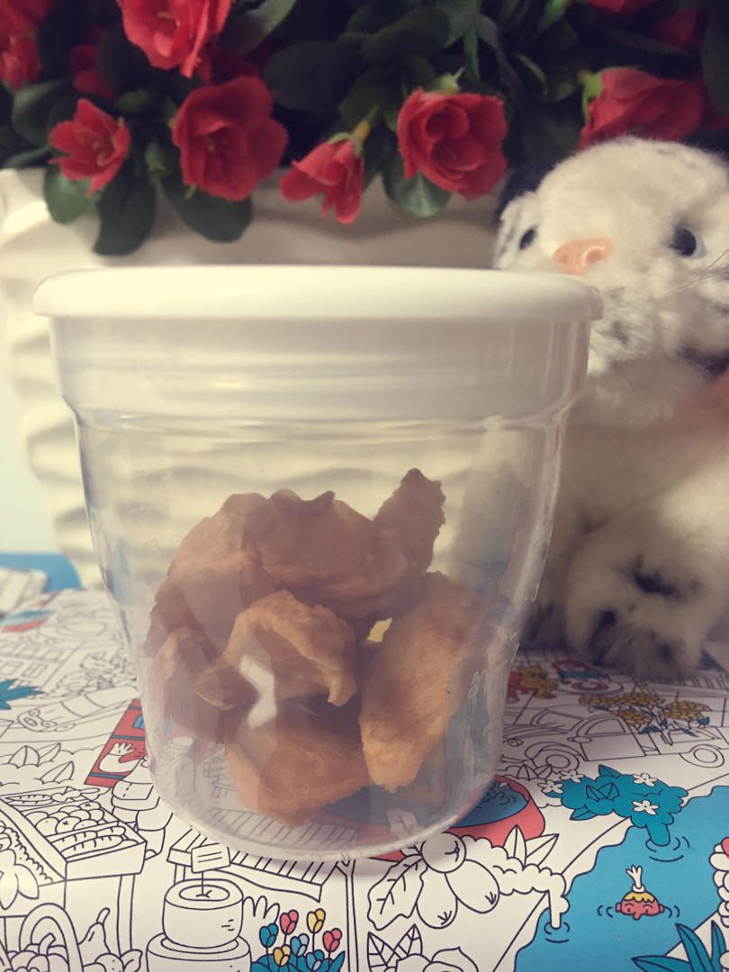 零食：苹果脯