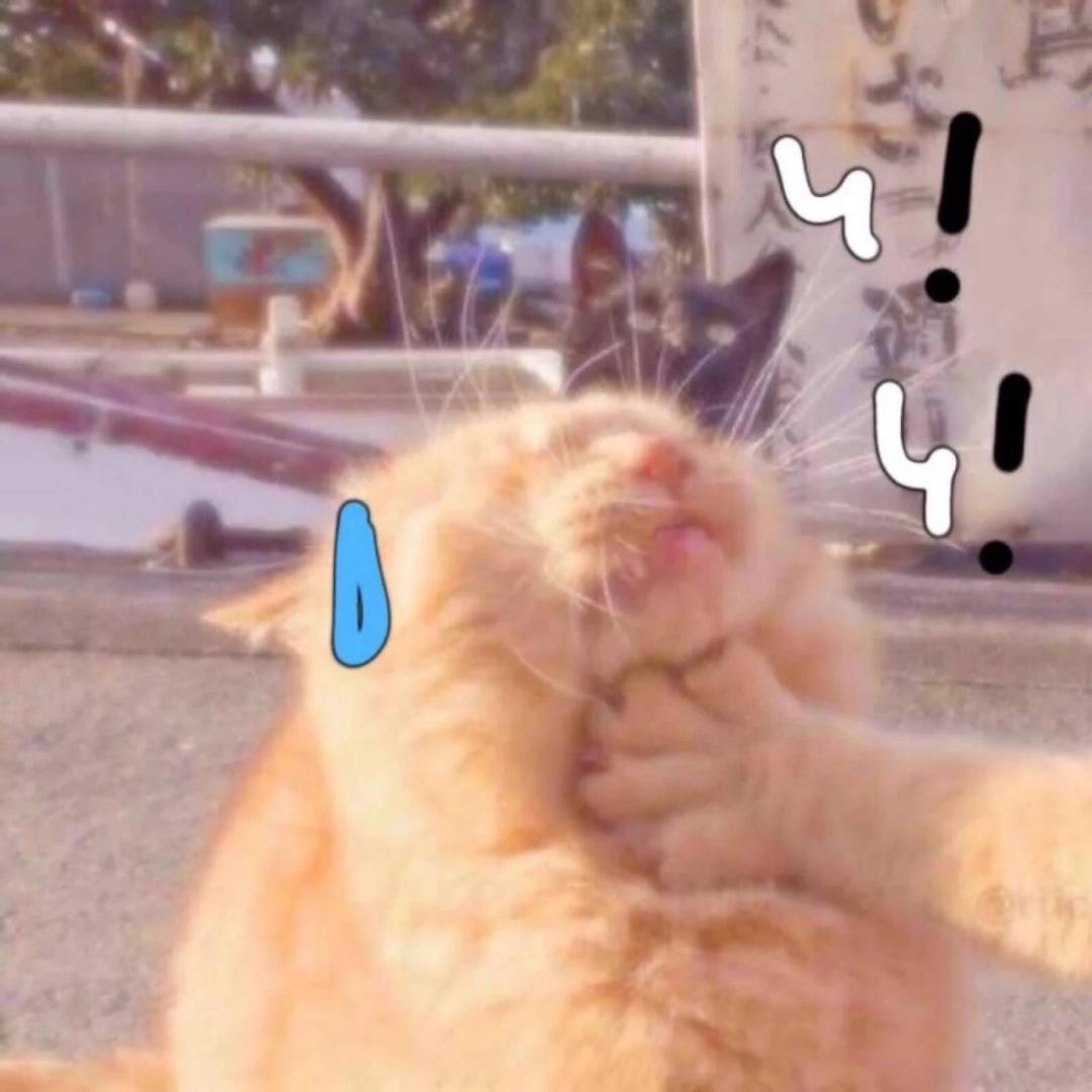 y山海