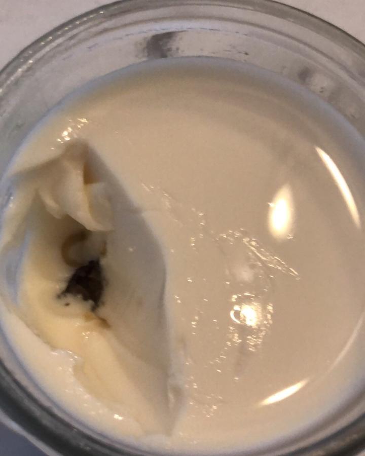 让你吃出牛奶肌的花胶炖鲜奶（花胶奶冻）