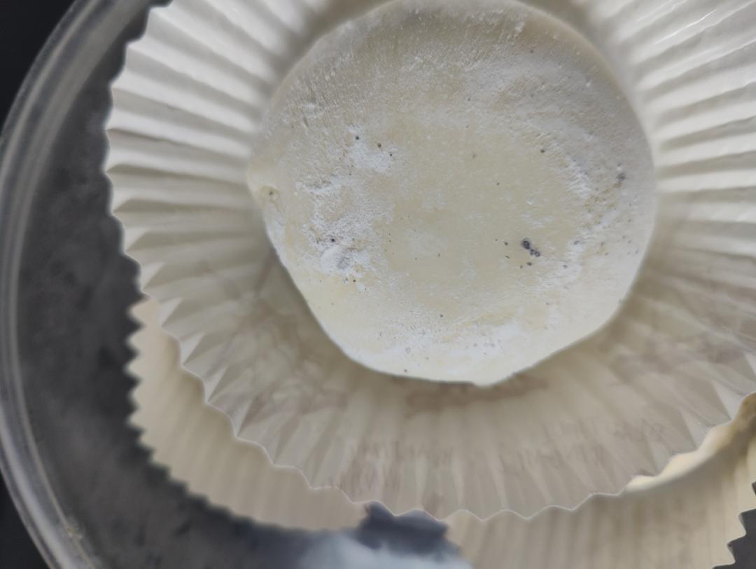 雪媚娘（超详细）