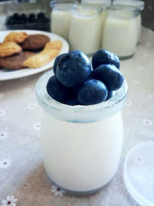 藍莓牛奶布丁的做法