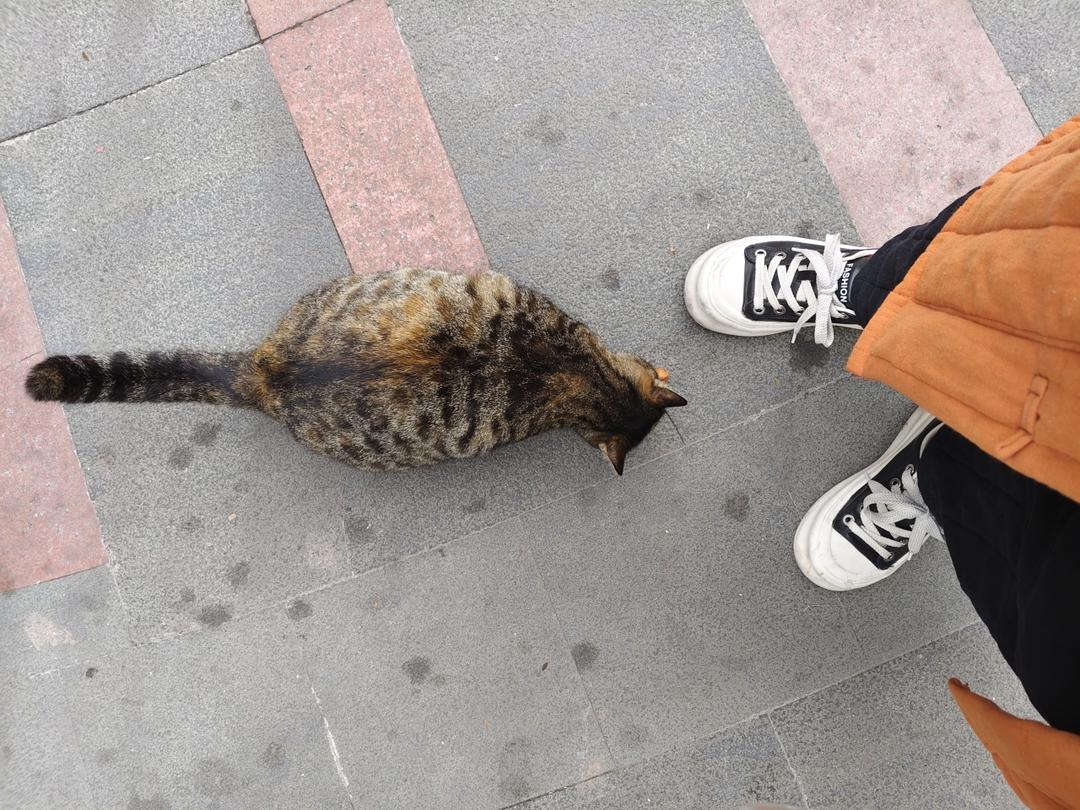 下午茶•2026年3月5日