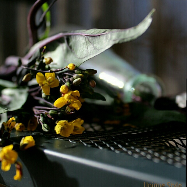 默默做，默默拍，默默秀