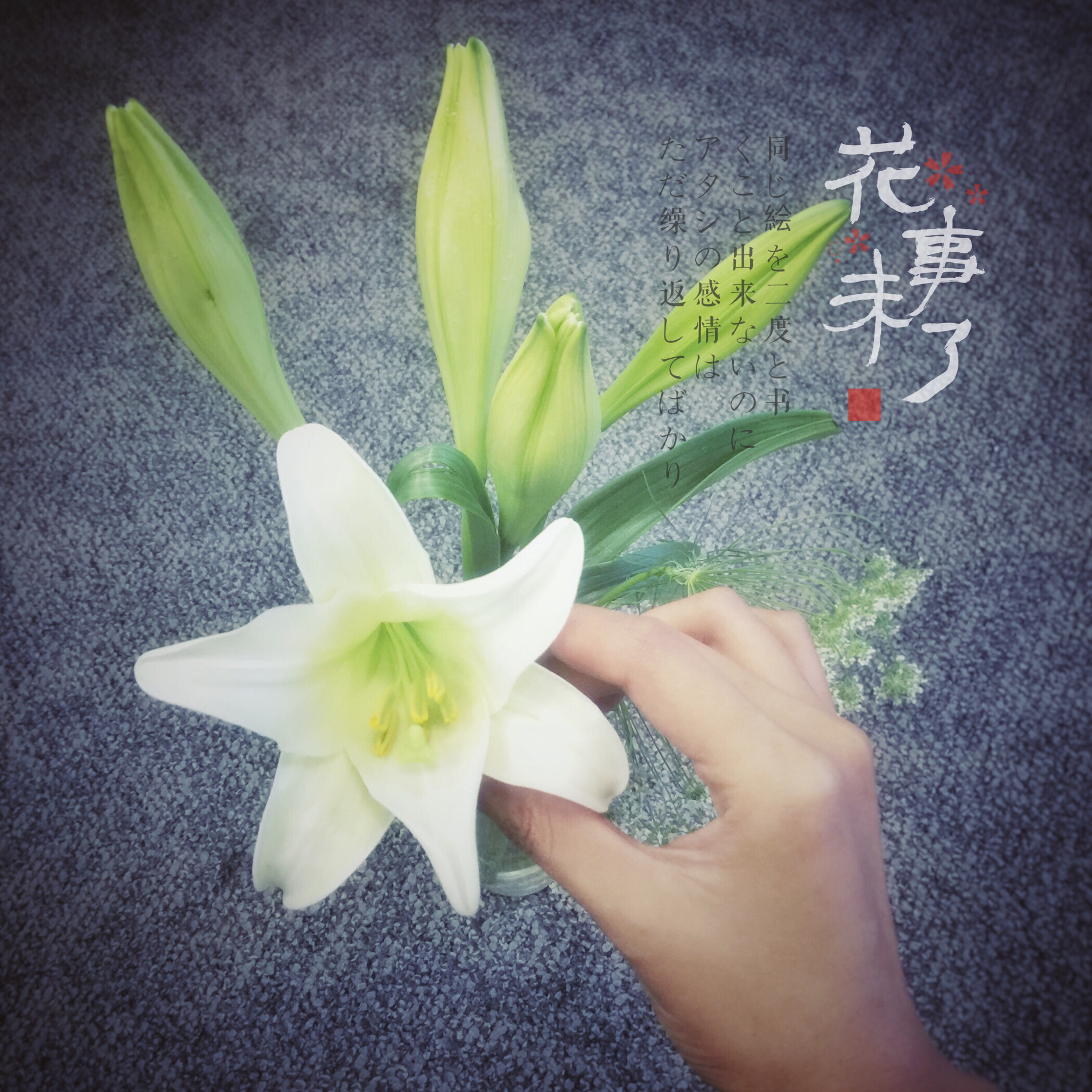 ː̗̀(ꙨꙨ)ː̖́迷の感动