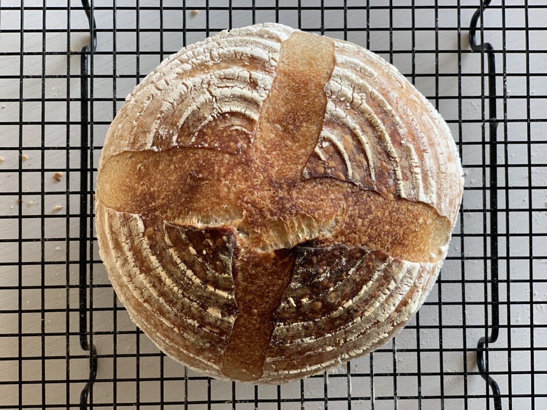 天然酵种基础乡村面包Basic Country Bread at Tartine