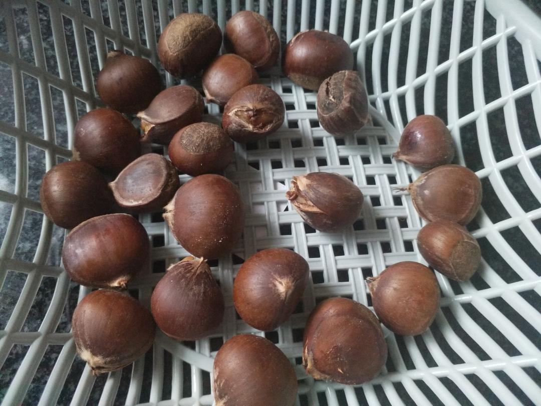 板栗――半煮半烤