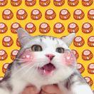 猥猥呀
