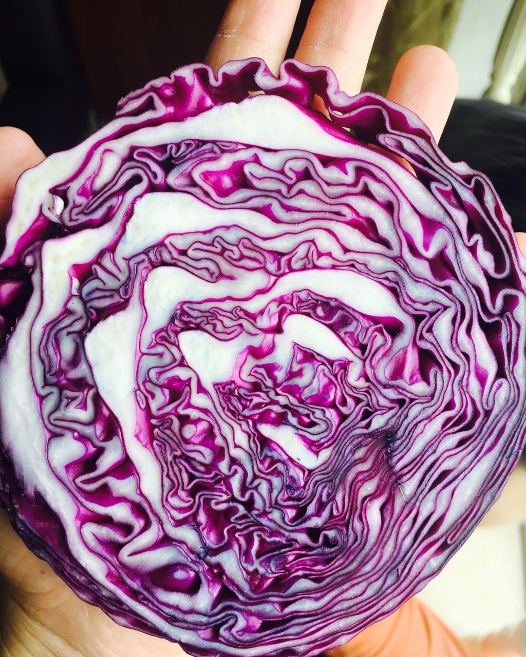 太斑斓贝壳豆沙包