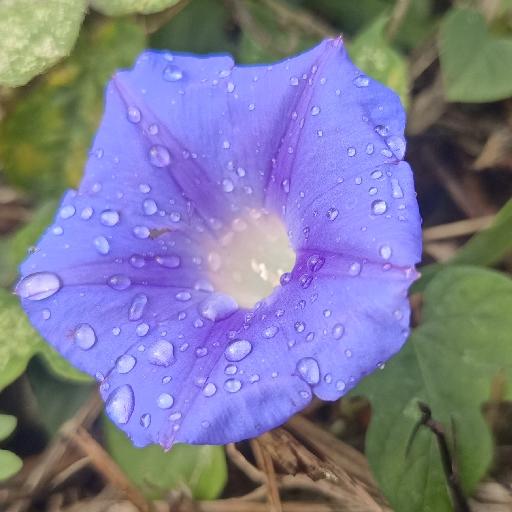 卡卡卡卡卡卡拉