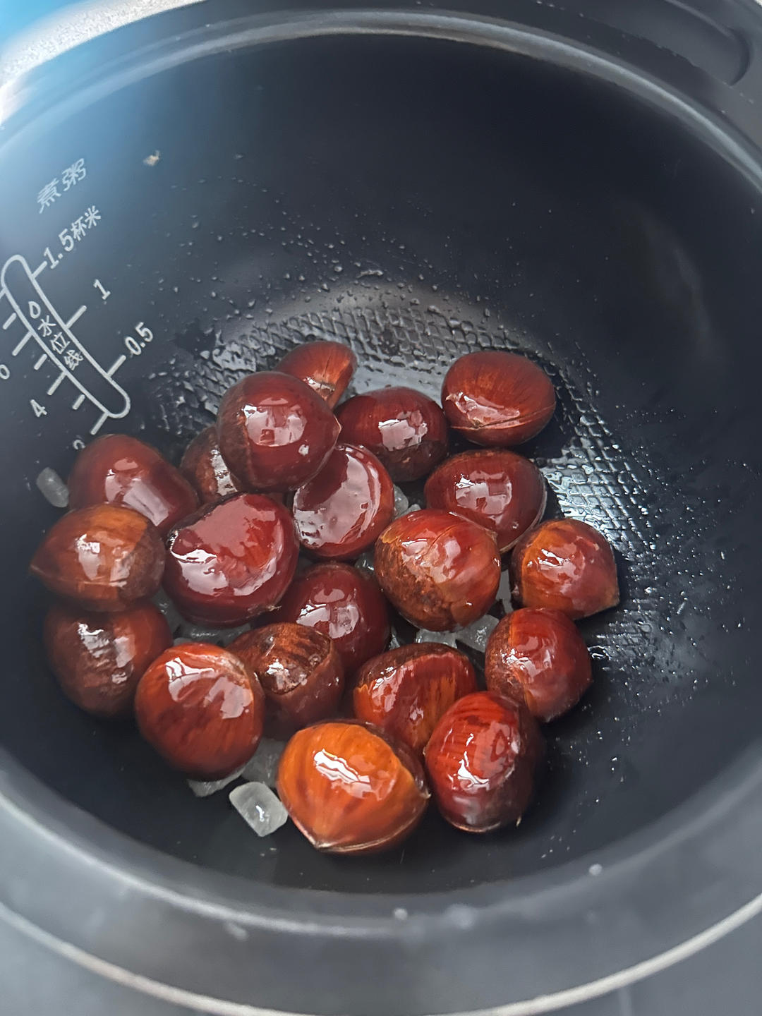 栗子、板栗（电饭锅零失误版）