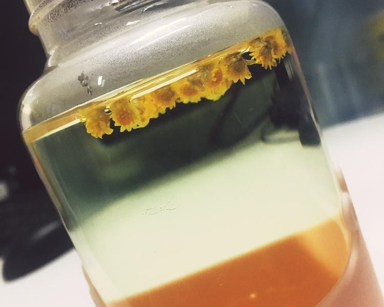 野菊花茶-清热去火、清肝明目的做法