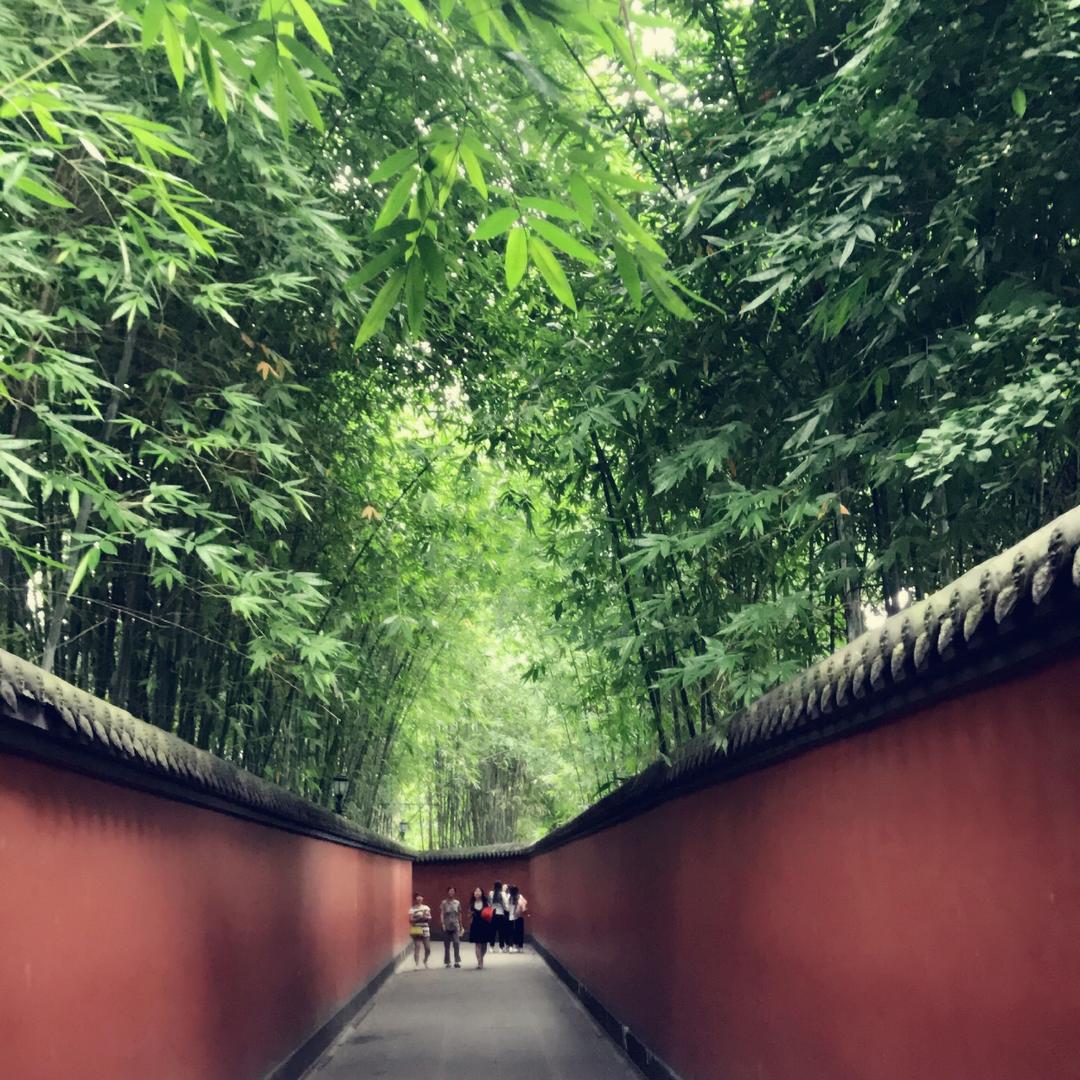 手机用户0237_nswg