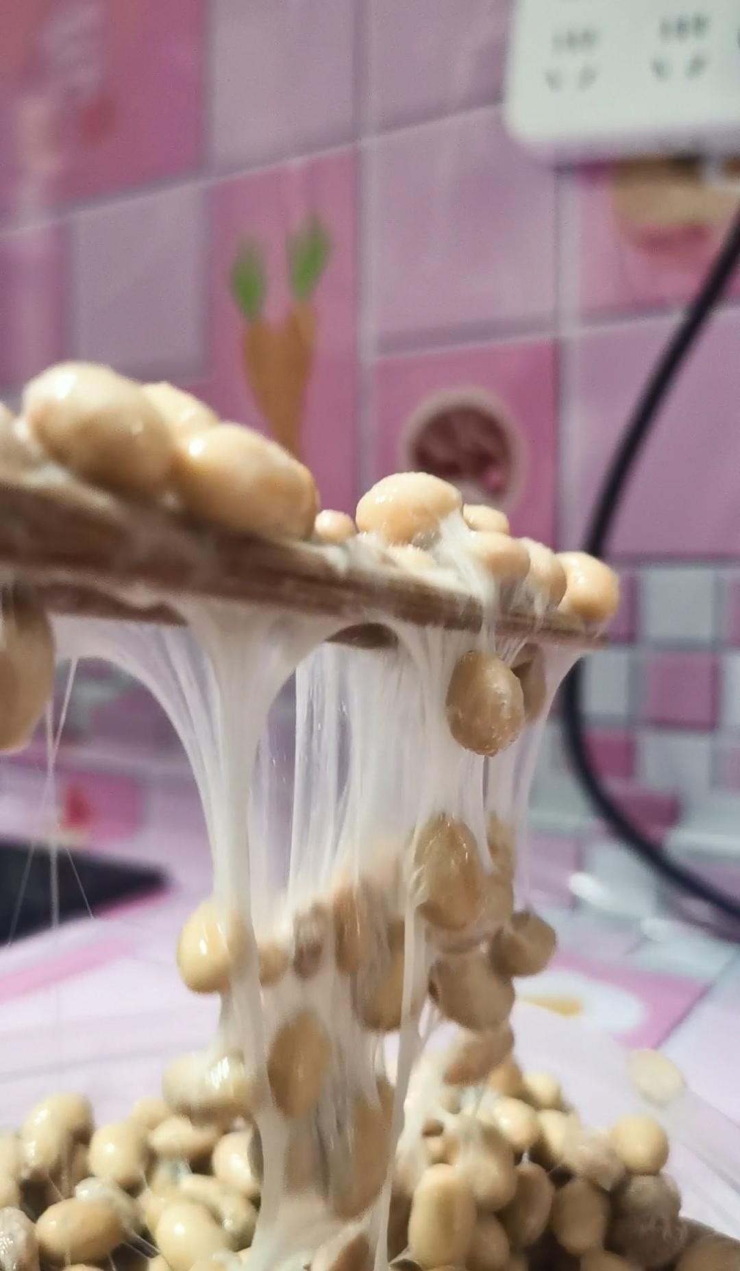 酸奶机做自制纳豆