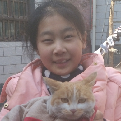 爱在红尘2004