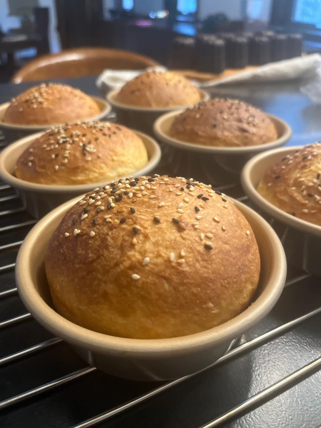 汉堡包🍔坯（汤种法）