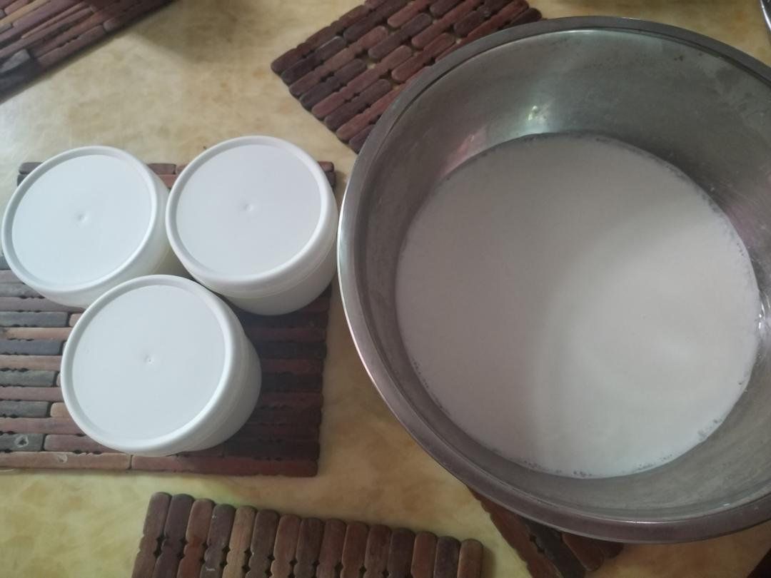 自制酸奶，不需菌粉/酸奶机/烤箱/电饭锅，一条毛巾就好