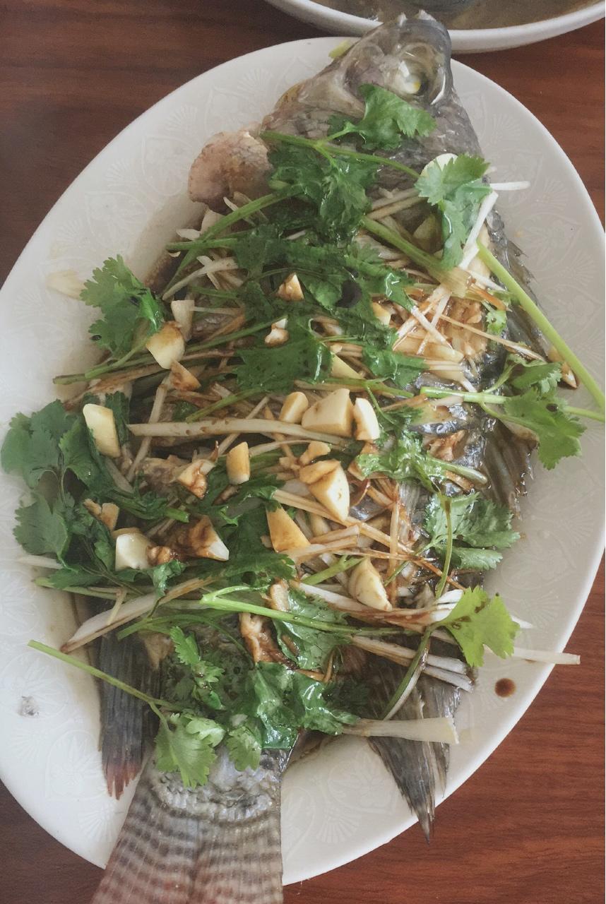 过年餐桌上少不了的菜——清蒸罗非鱼