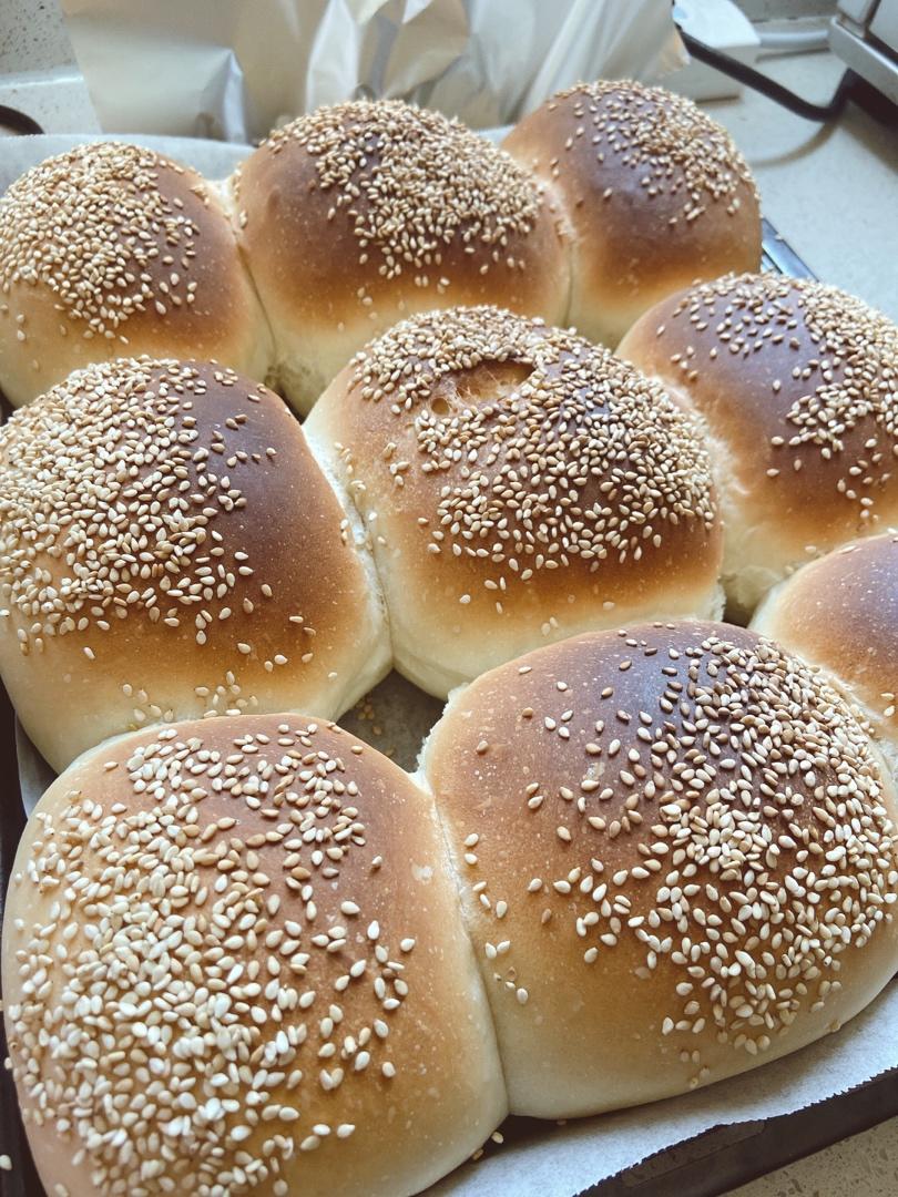 🍔圆滚滚基础汉堡胚