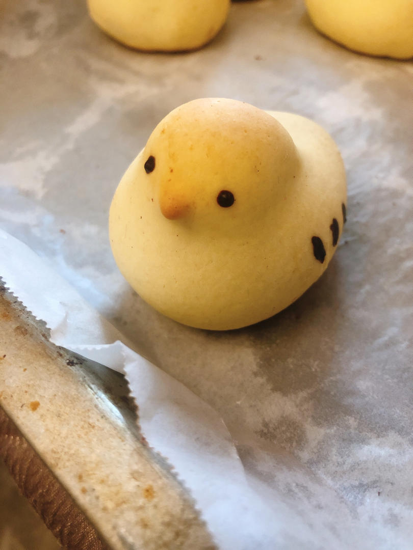 小鸡和果子🐣