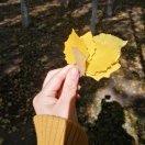 手机用户5026_z6lg