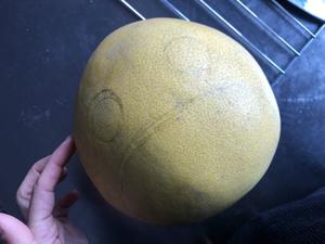 柚子造型（龙猫）的做法 步骤1