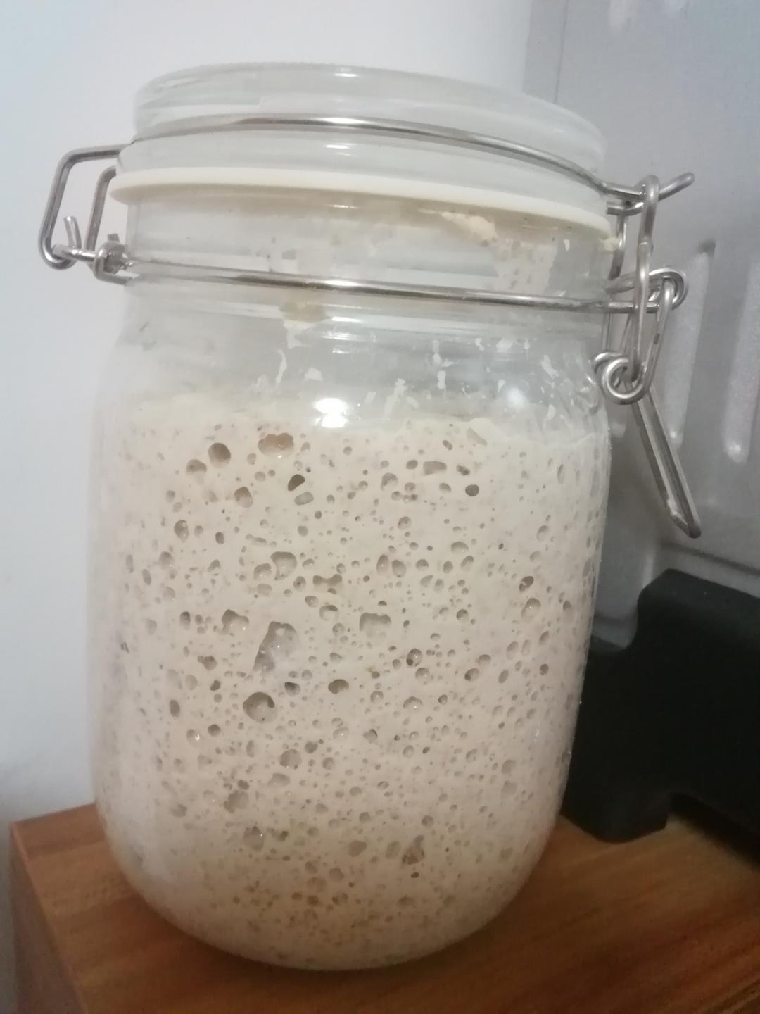 葡萄干菌种养成记的做法