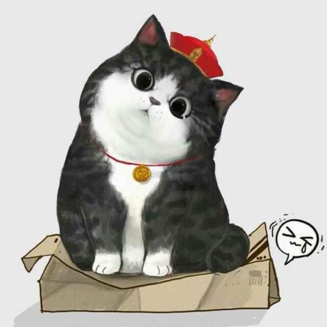 孝孝大圣麻麻