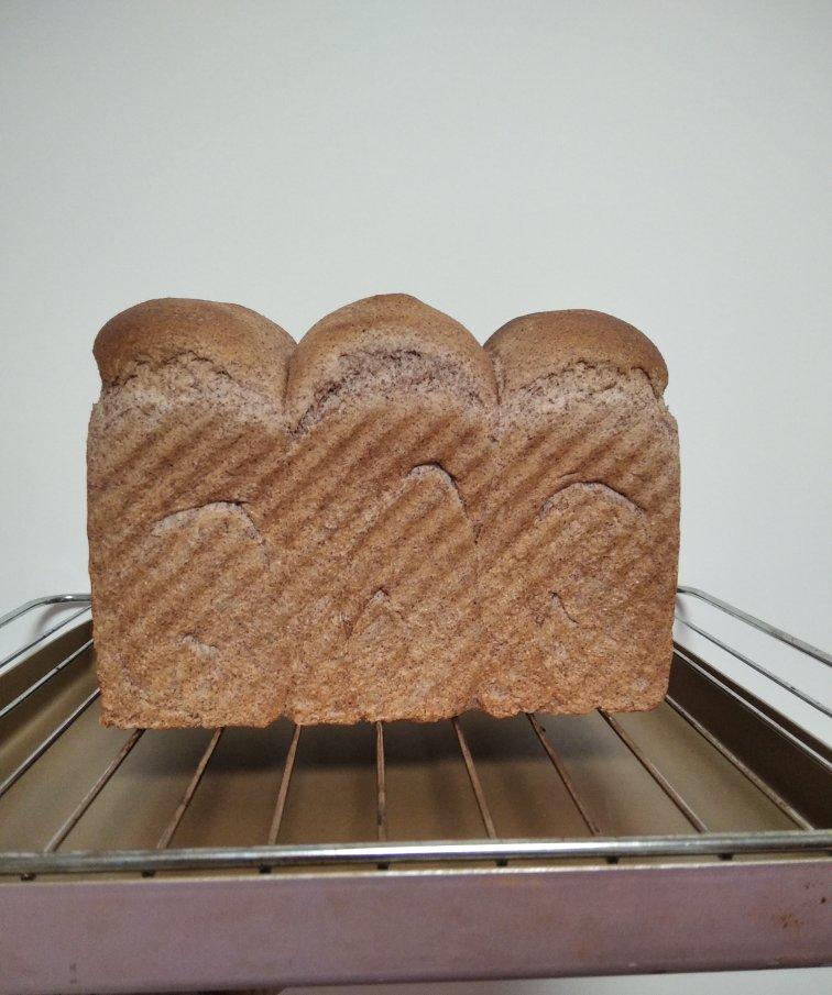 黑麦吐司 70%黑麦 波兰种