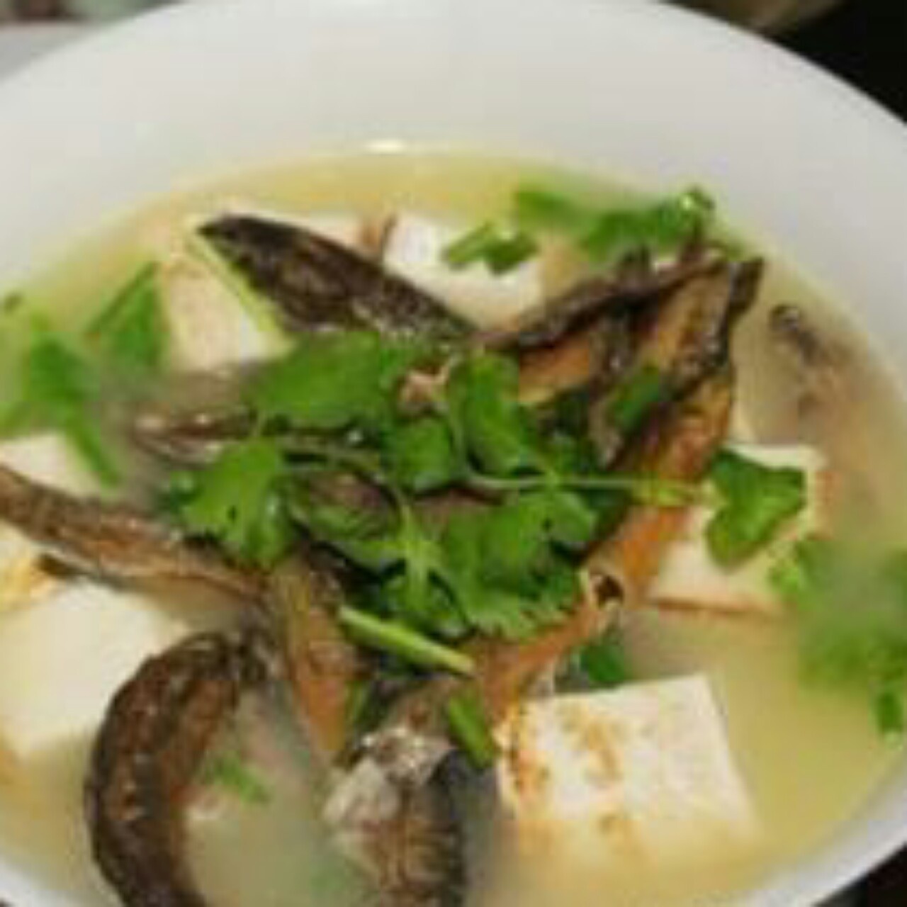 泥鳅豆腐汤