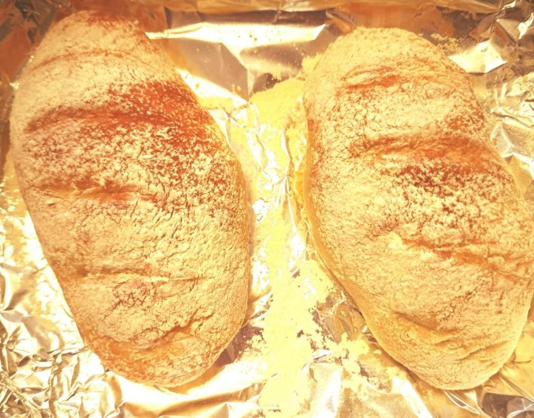 免揉意大利拖鞋面包ciabatta（吐血整理史上最全藤田千秋免揉欧包制作心得）