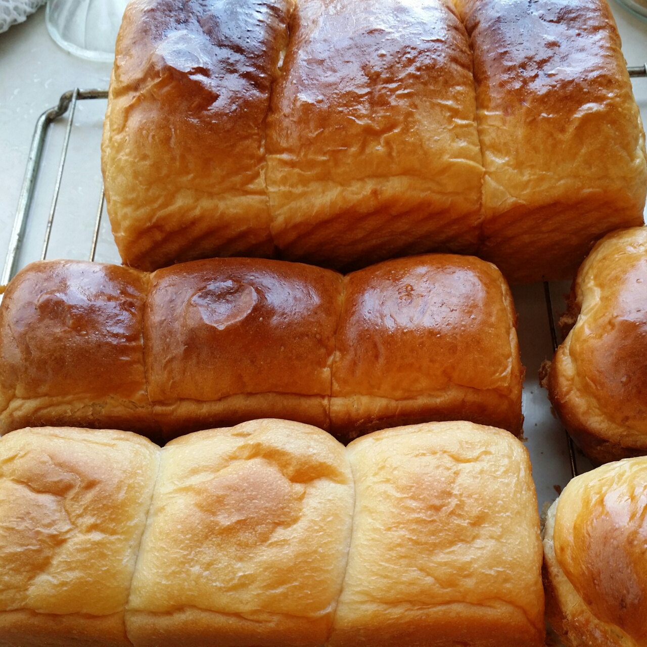 【北海道吐司】体验经典-妃娟100%中种，冷藏冰种的美味