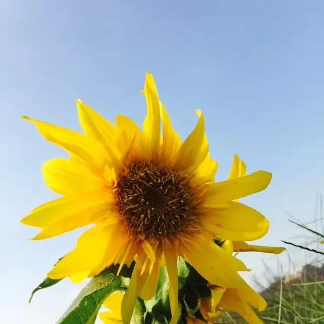 手机用户9583_yous