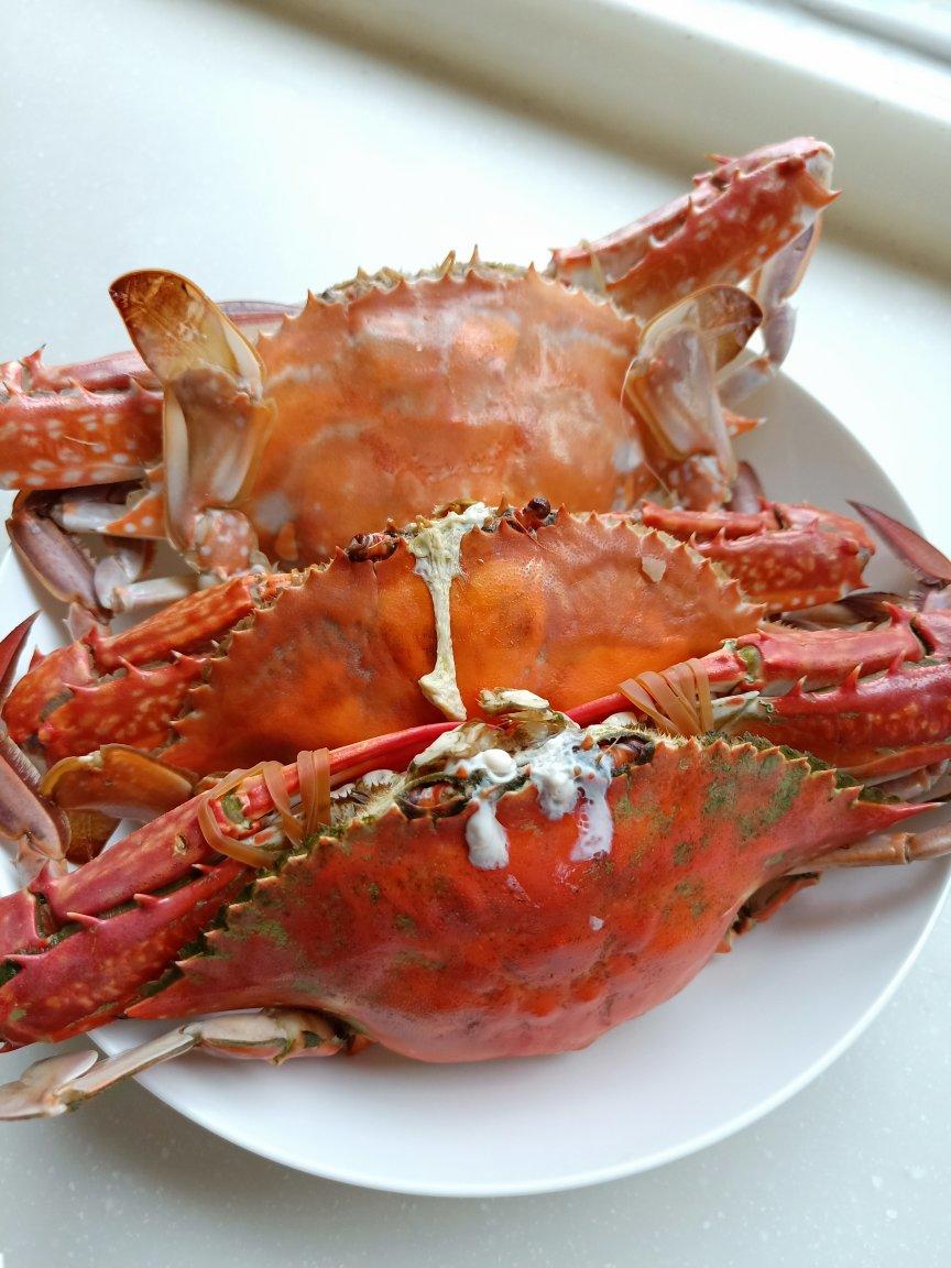 筱忆yoyo做的清蒸梭子蟹