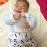 小龙珠妈妈